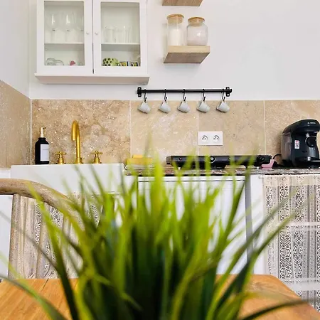 My * سان تروبيه